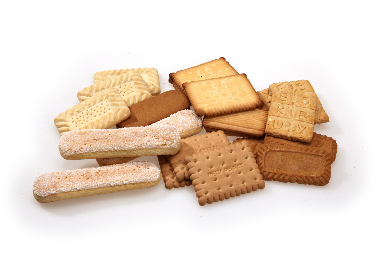 Rectangular molded biscuits